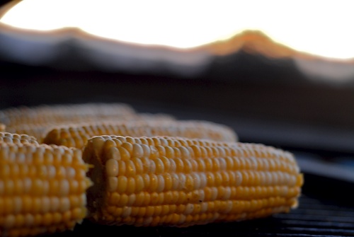 ears of corn in the Big Green Egg ears of corn in the Big Green Egg